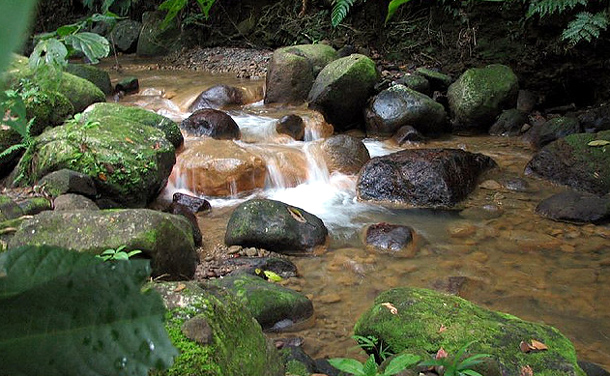 Image of a creek at Syndicate Falls