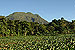 Morne Trois Pitons National Park