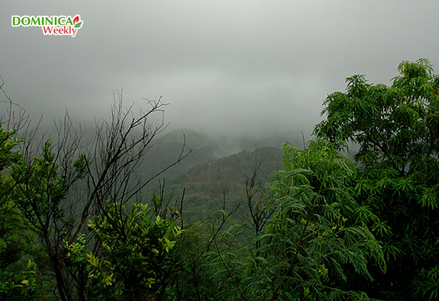 Rainy weather in Dominica