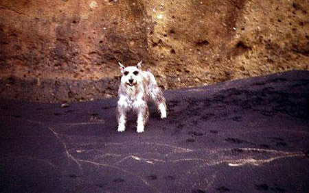 ranger-on-blacksand.jpg