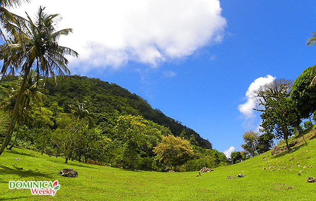 The Old French Quarter which is a spectacular open savannah with views in Dominica